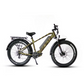 EUNORAU FAT-HD ELECTRIC BIKE