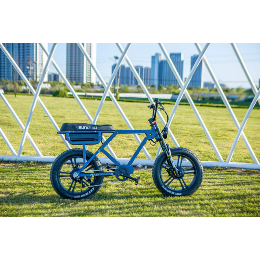 EUNORAU FLASH ELECTRIC BIKE