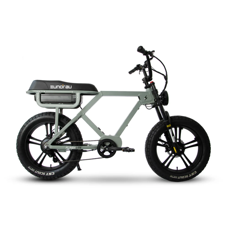 EUNORAU FLASH ELECTRIC BIKE