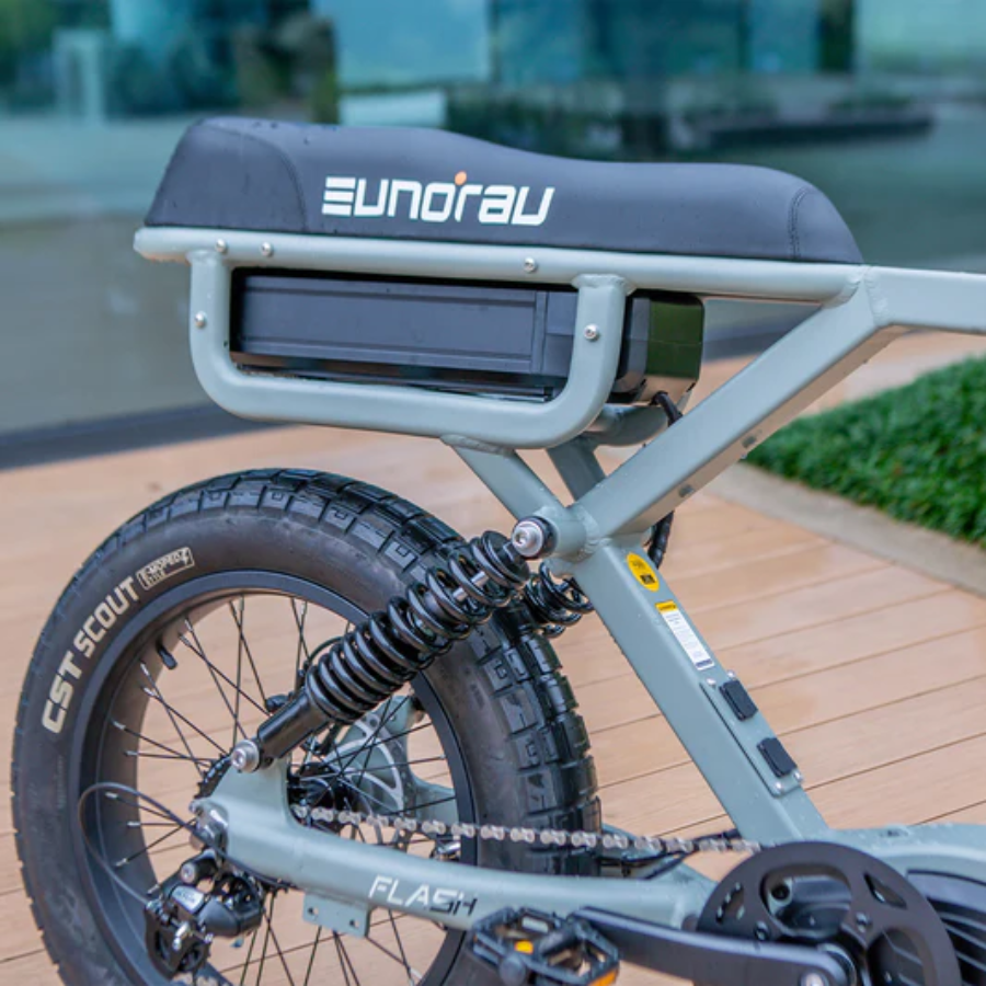 EUNORAU FLASH ELECTRIC BIKE