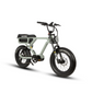 EUNORAU FLASH ELECTRIC BIKE