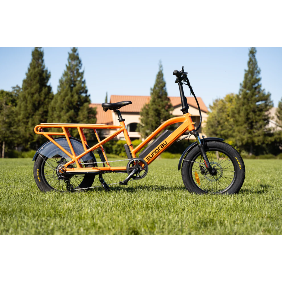 EUNORAU G30-CARGO ELECTRIC BIKE