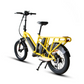 EUNORAU G30-CARGO ELECTRIC BIKE