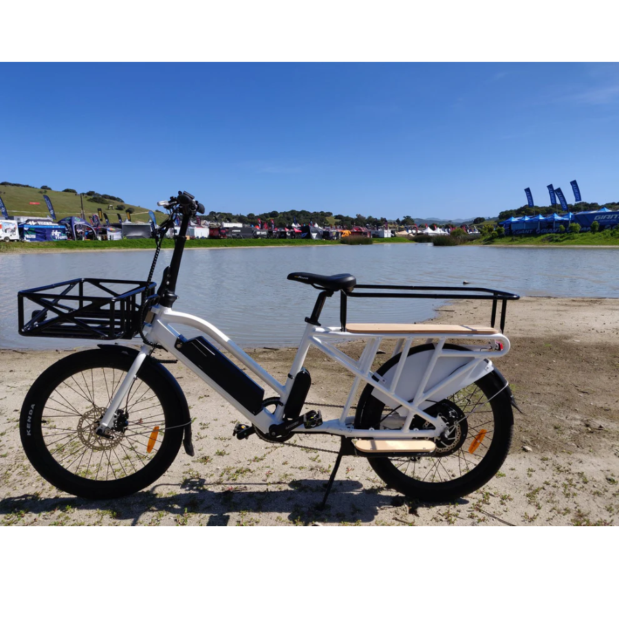 EUNORAU MAX-CARGO ELECTRIC BIKE