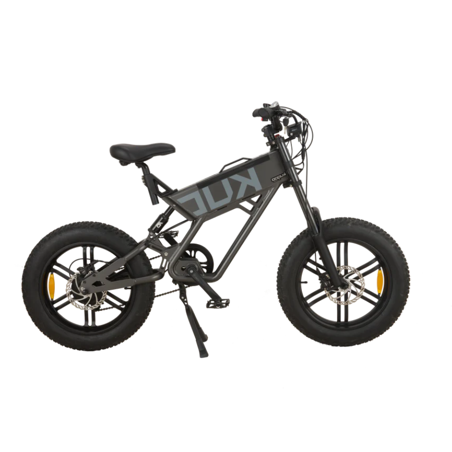 KUGOO T01 750W 20INCH REMOVABLE BATTERY ELECTRIC BICYCLE