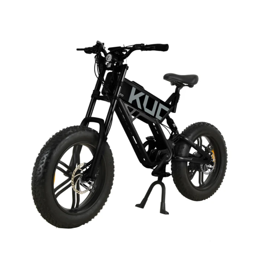 KUGOO T01 750W 20INCH REMOVABLE BATTERY ELECTRIC BICYCLE